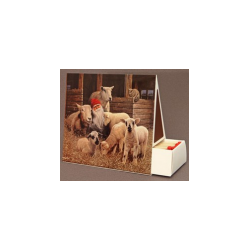 Jan Bergerlind - Matchboxes - Lambs - Honey Beeswax