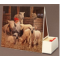 Jan Bergerlind - Matchboxes - Lambs - Honey Beeswax